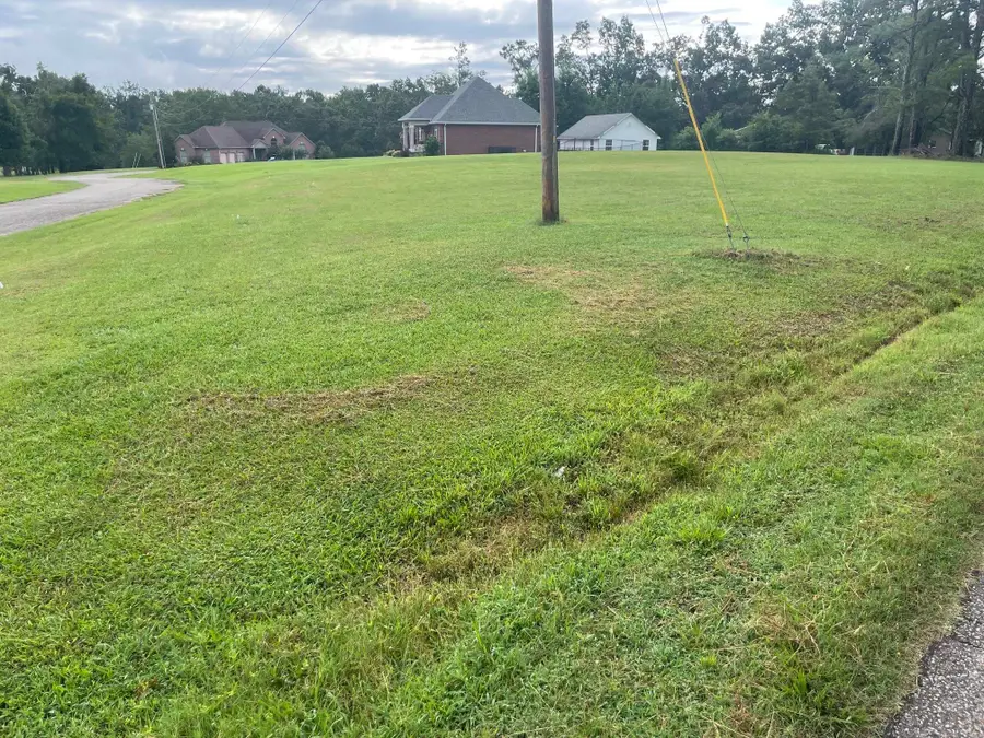 0 Caney Branch Rd, Adamsville, TN 38310 - #2