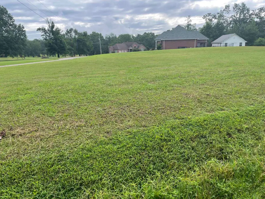 0 Caney Branch Rd, Adamsville, TN 38310 - #3