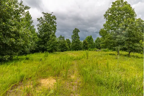 210 Loveman Lane, Hampshire, TN 38461