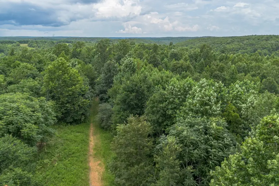 210 Loveman Lane, Hampshire, TN 38461 - #2