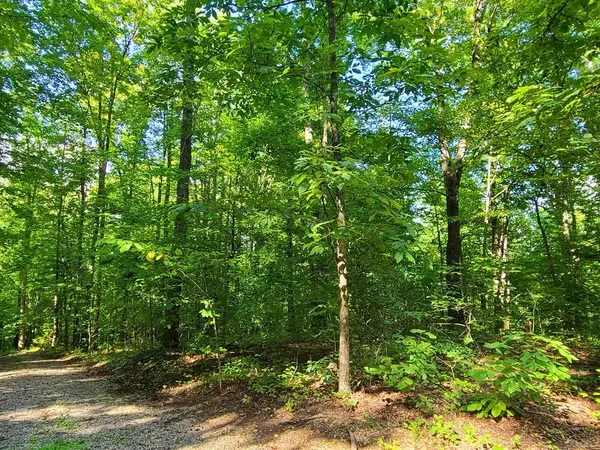9 Walden Flats Way, Sevierville, TN 37862