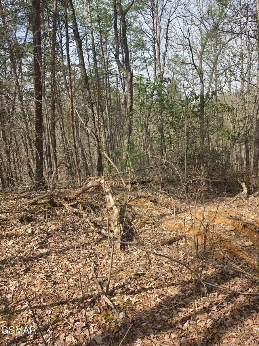 101 Ridgefield Dr., Sevierville, TN 37876 - #2