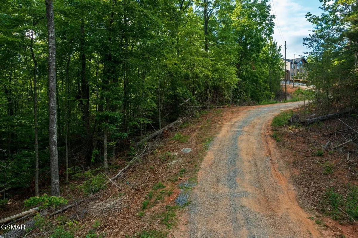 62 Pinnacle Vista Road, Gatlinburg, TN 37738 - #1
