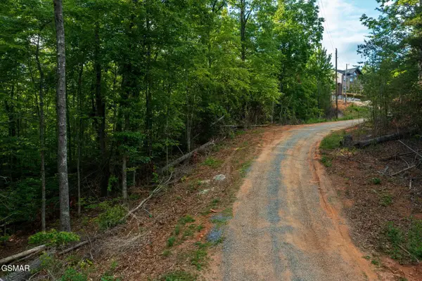 62 Pinnacle Vista Road, Gatlinburg, TN 37738