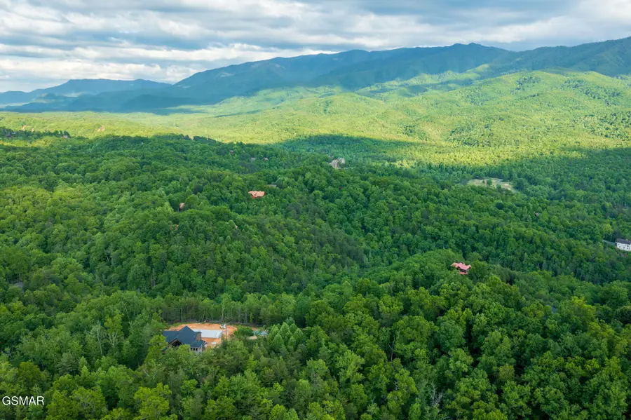 62 Pinnacle Vista Road, Gatlinburg, TN 37738 - #3