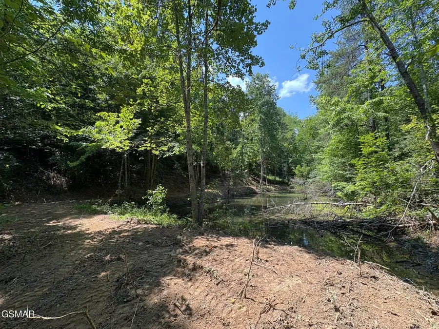 69 Oak Lake Dr Drive, Sevierville, TN 37876 - #3