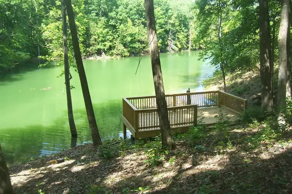 5 Aaron Street Street, Sevierville, TN 37876