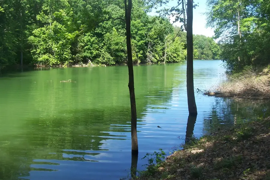 5 Aaron Street Street, Sevierville, TN 37876 - #3