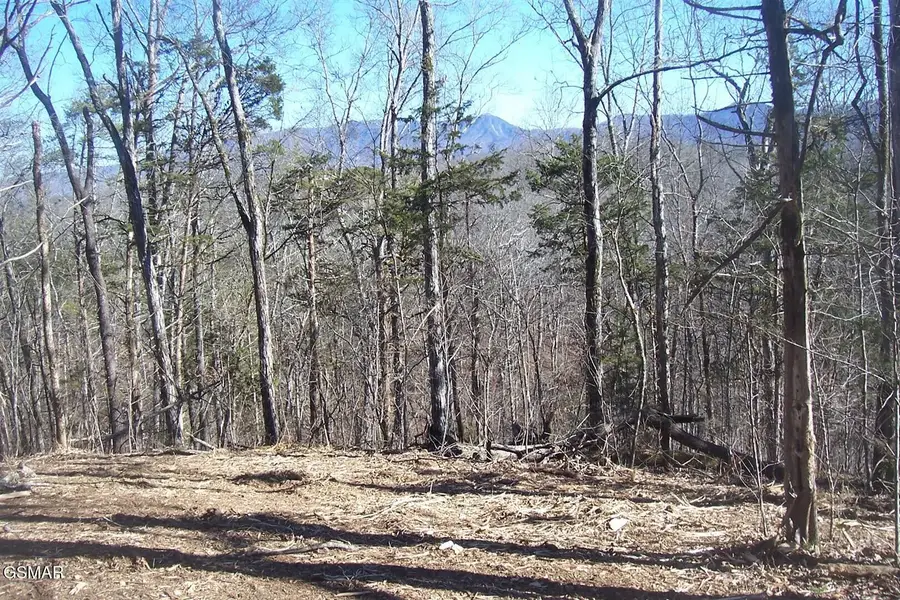 798 Fairgarden Circle, Sevierville, TN 37876 - #2