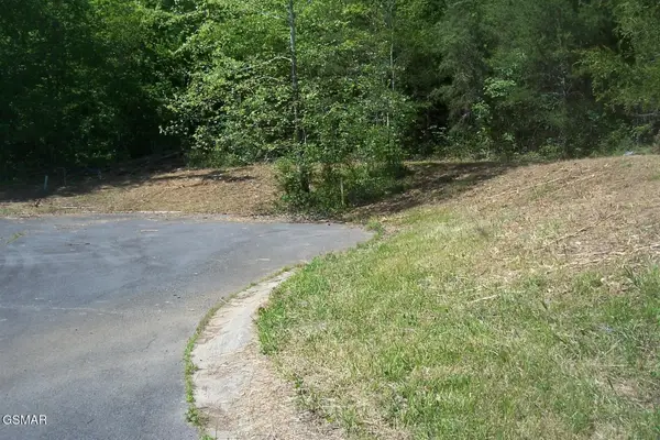 25 Splendor Way, Parrottsville, TN 37843