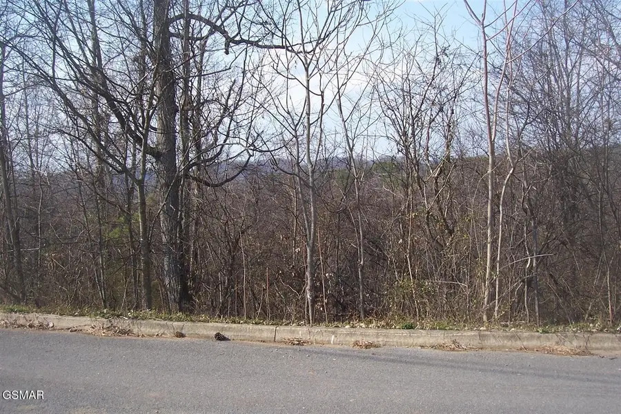 142 Low Valley Road, Dandridge, TN 37725 - #3