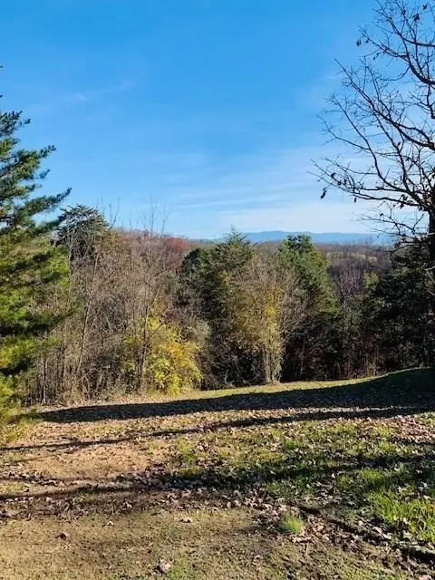 2 Sunset View Road, Sevierville, TN 37876 - #2