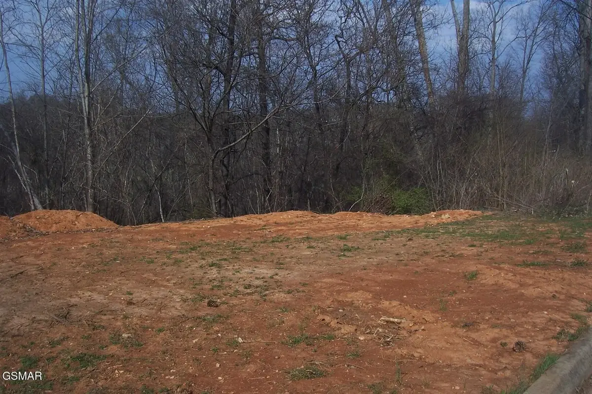141 Low Valley Rd Road, Dandridge, TN 37725 - #1