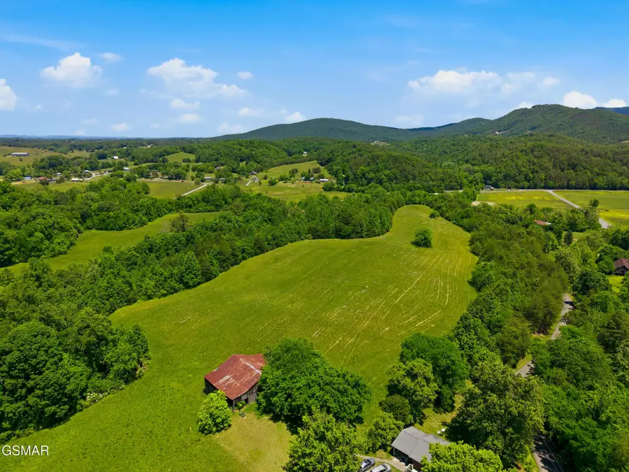 13091319 Licklog Hollow - 62.96 Ac. Roa, Sevierville, TN 37876 - #3