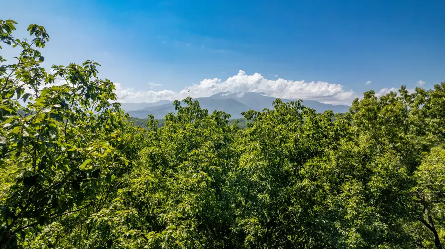 11 Spring Hill Drive, Sevierville, TN 37876 - #3