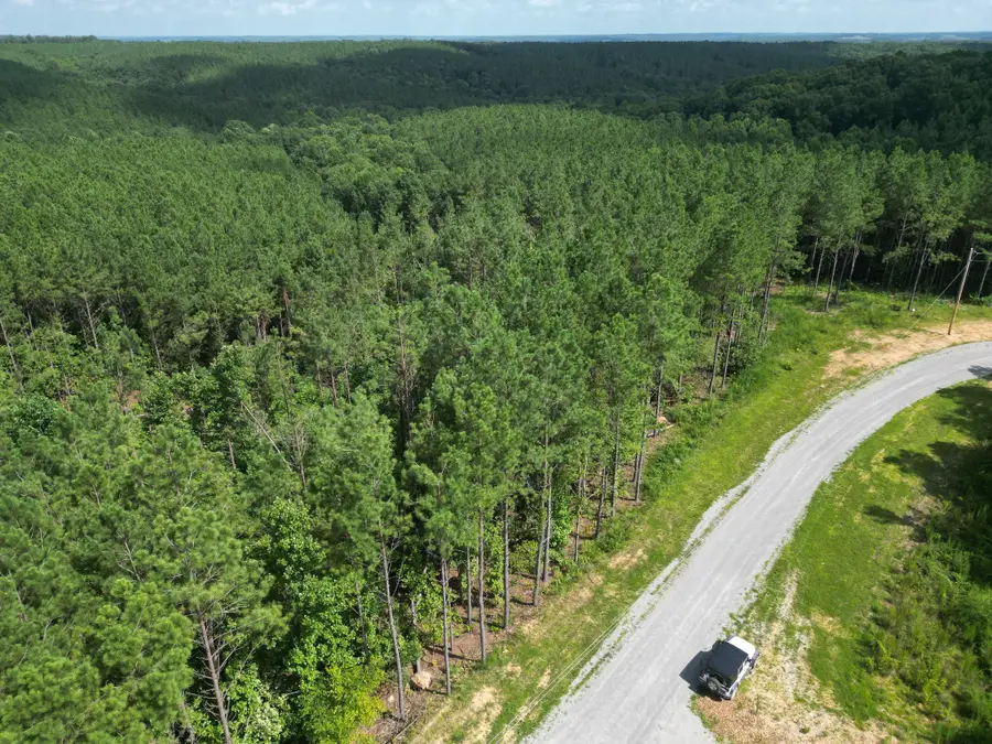 153 Beach Rd, Hohenwald, TN 38462 - #3