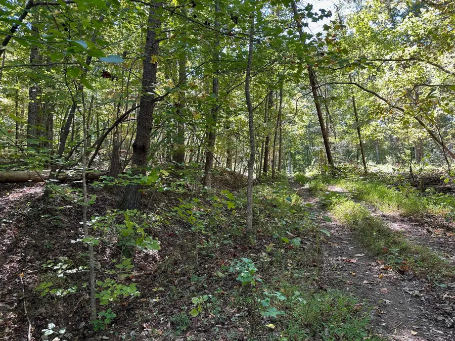 412 Smith Road, Spring City, TN 37381 - #2