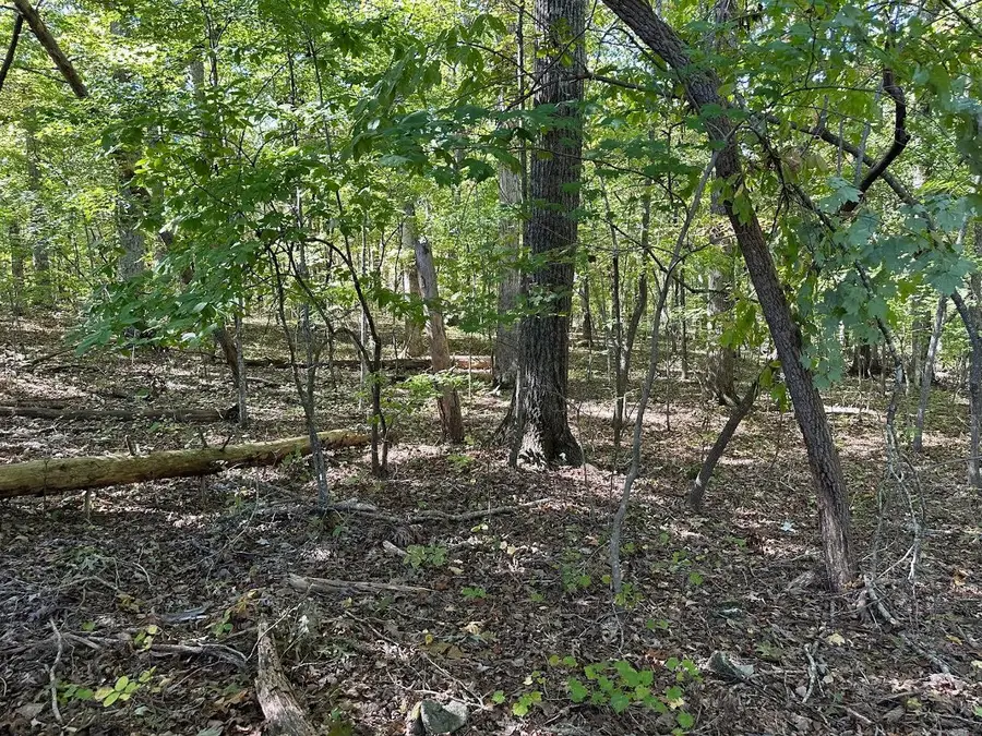 351 Diana Drive, Spring City, TN 37381 - #2