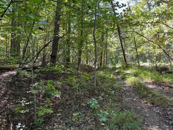 354 Diana Drive, Spring City, TN 37381