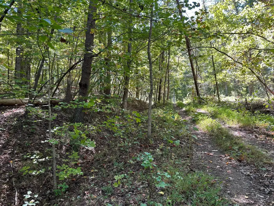 353 Diana Drive, Spring City, TN 37381 - #2