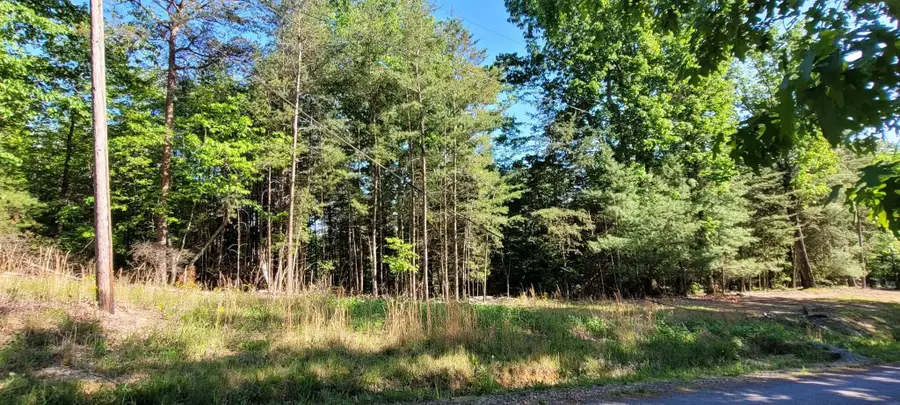 123 Dogwood Court, Spring City, TN 37381 - #3