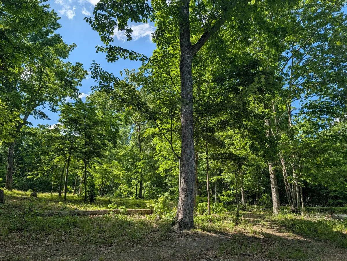 9495 Red Oak Lane, Spring City, TN 37381 - #1
