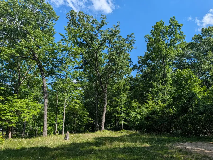 9495 Red Oak Lane, Spring City, TN 37381 - #3