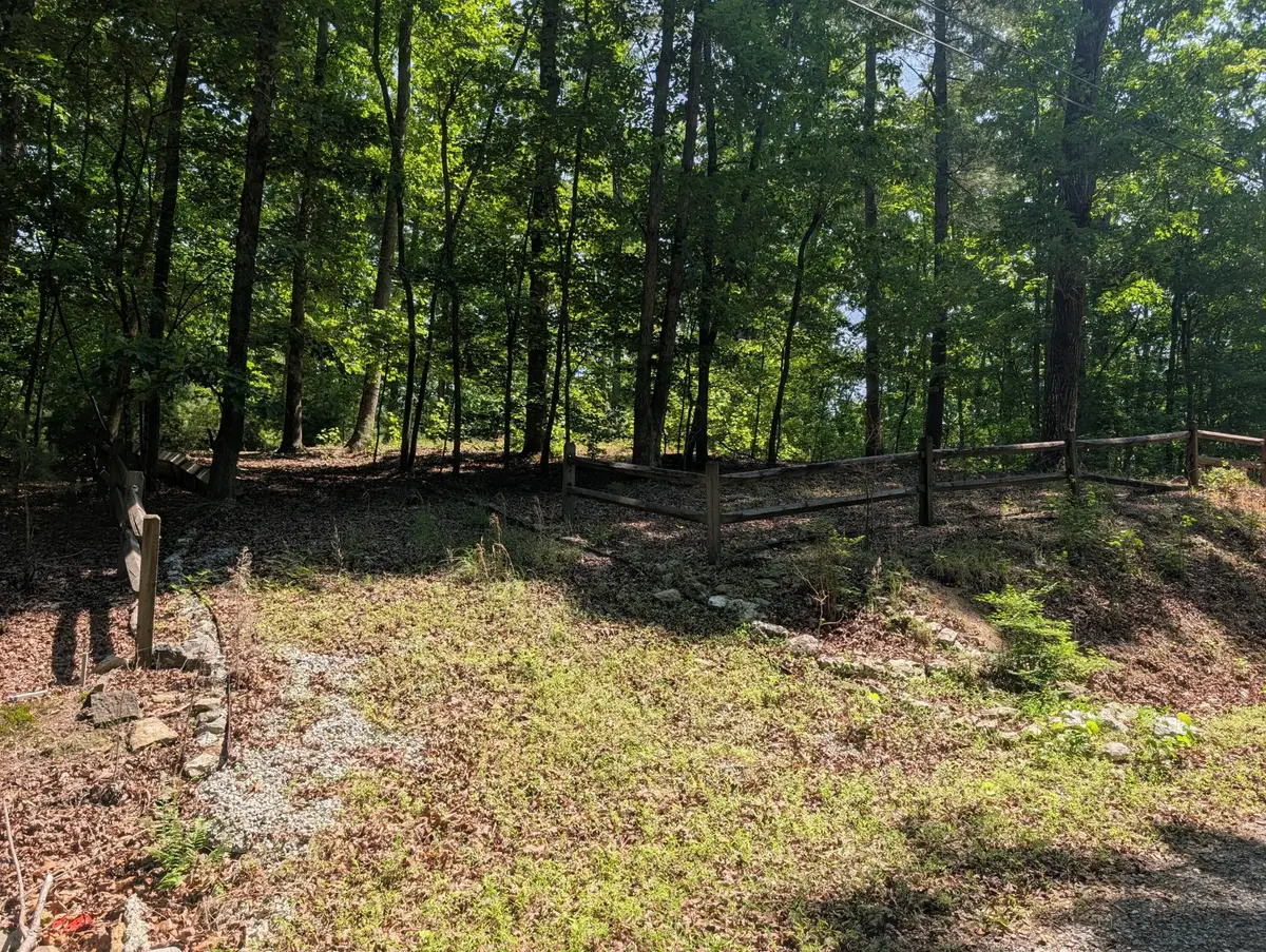 190 Fawnwood Drive, Spring City, TN 37381 - #1
