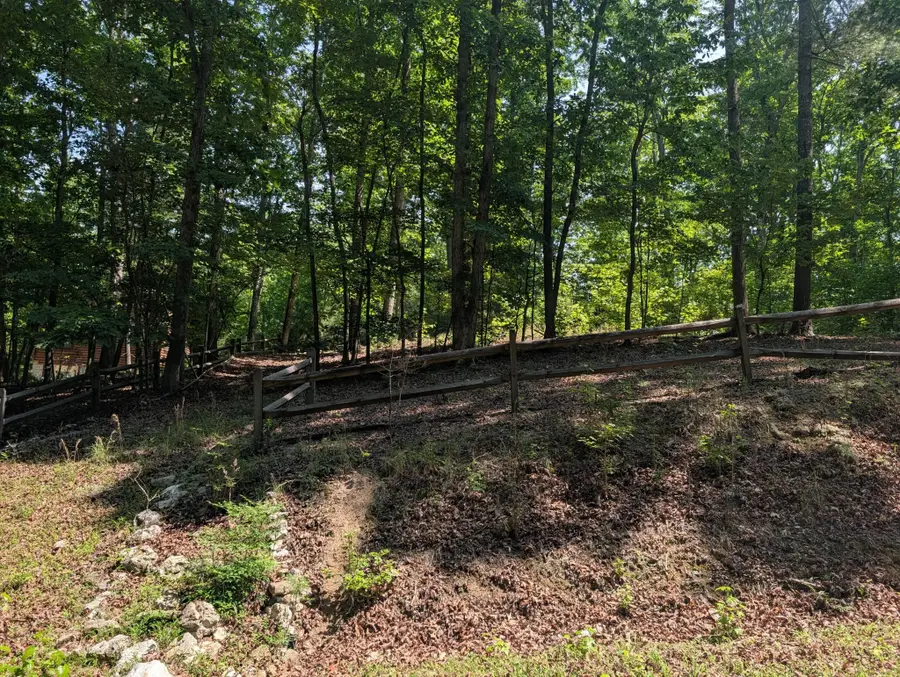 190 Fawnwood Drive, Spring City, TN 37381 - #3