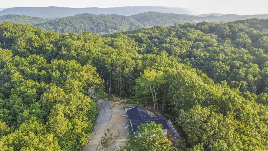 140 Mary Brown Lane, Rockwood, TN 37854 - #2
