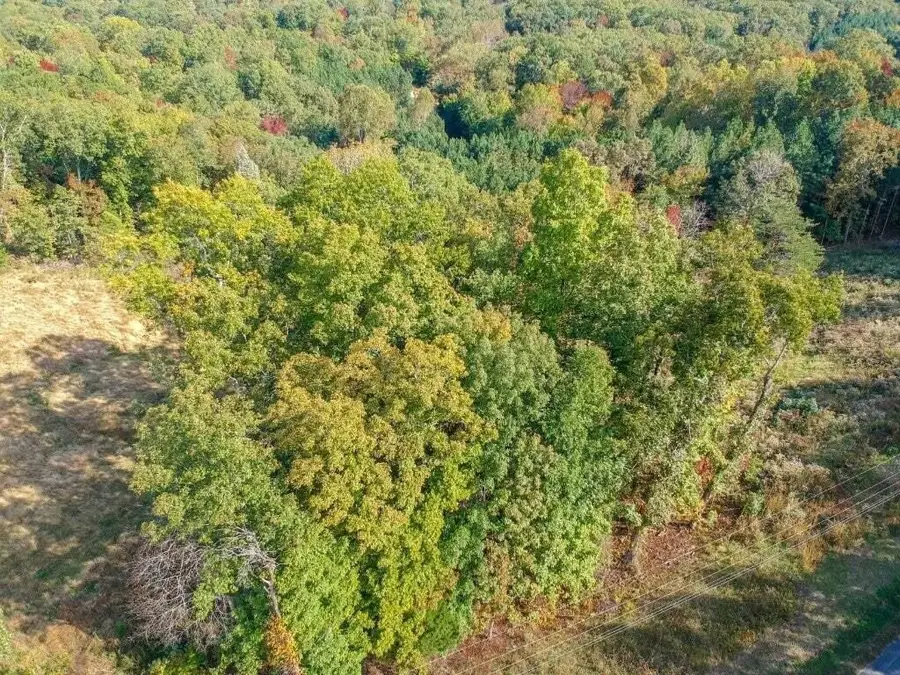 272 Spruce Drive, Spring City, TN 37381 - #2