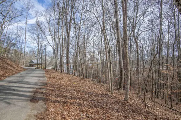 0 Sunset Court, Spring City, TN 37381