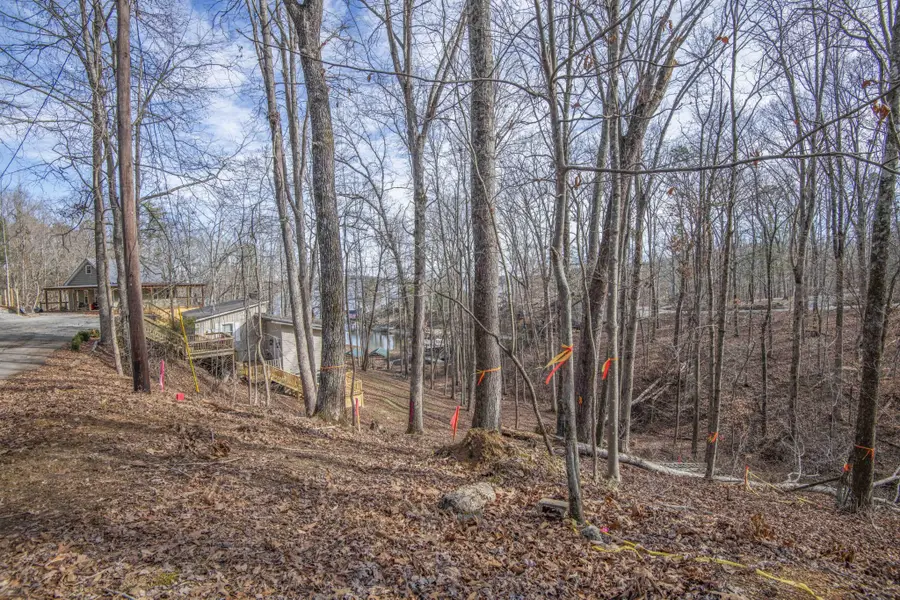 0 Sunset Court, Spring City, TN 37381 - #2