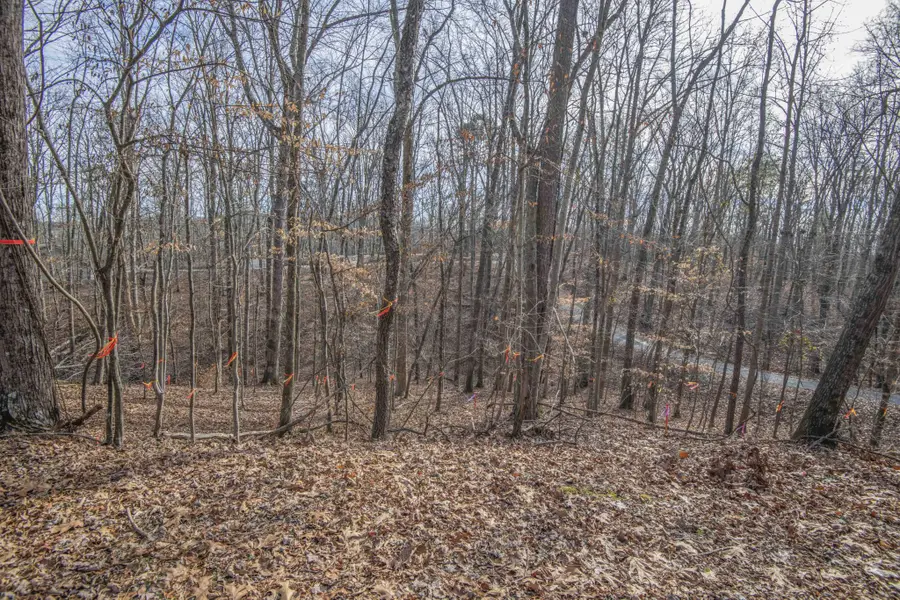 0 Sunset Court, Spring City, TN 37381 - #3