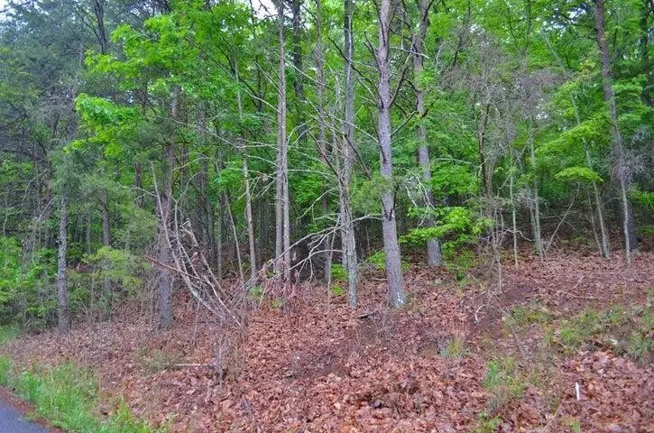 8805 Terrace Falls Drive, Soddy Daisy, TN 37379 - #1