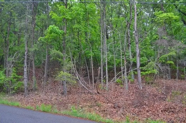 8805 Terrace Falls Drive, Soddy Daisy, TN 37379 - #2