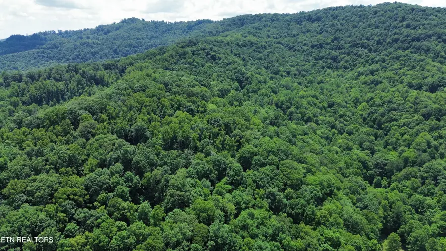 0 Lick Creek Lane, La Follette, TN 37766 - #3