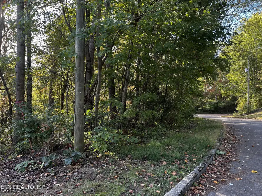 18 Revere Ave, Clinton, TN 37716 - #2