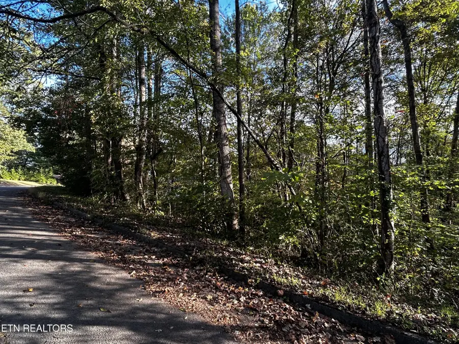 18 Revere Ave, Clinton, TN 37716 - #3