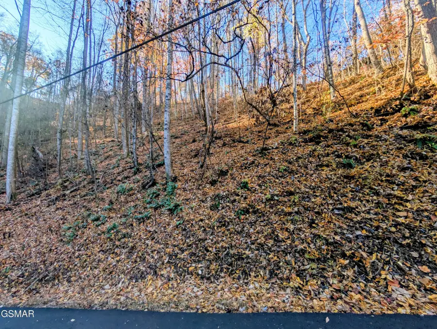 339 Ridgefield Drive, Sevierville, TN 37876 - #2
