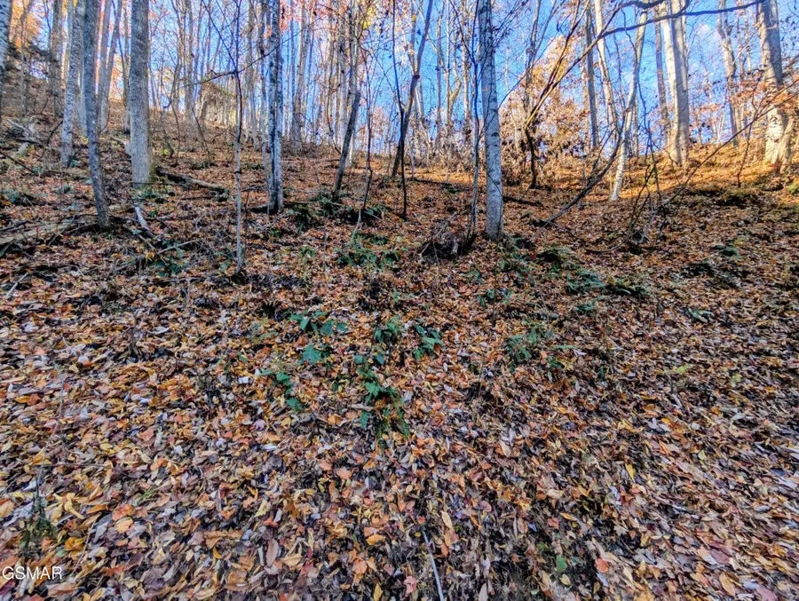 339 Ridgefield Drive, Sevierville, TN 37876 - #3