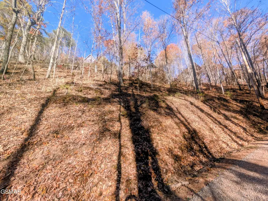 177 Tsali Drive, Sevierville, TN 37876 - #3