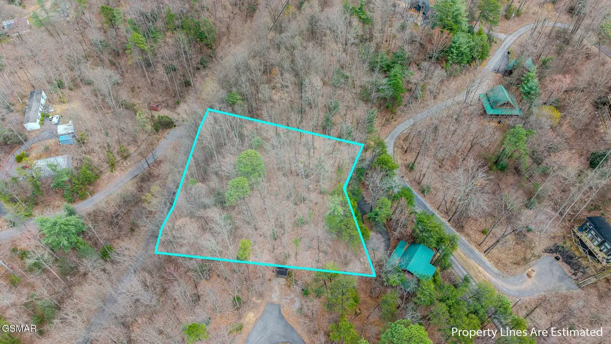 15 S Boogertown South Road, Sevierville, TN 37876 - #1