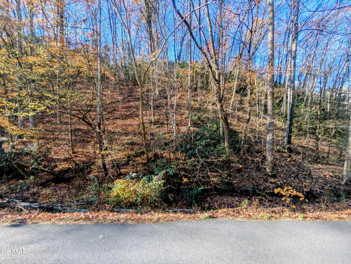 1908 Rose Pass, Sevierville, TN 37876 - #1