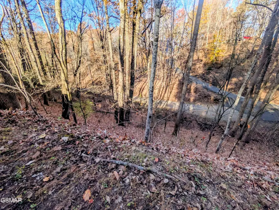 194 Ski View Lane, Sevierville, TN 37876 - #2