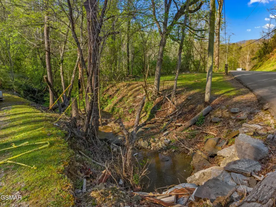264 Beech Branch Rd, Gatlinburg, TN 37738 - #3