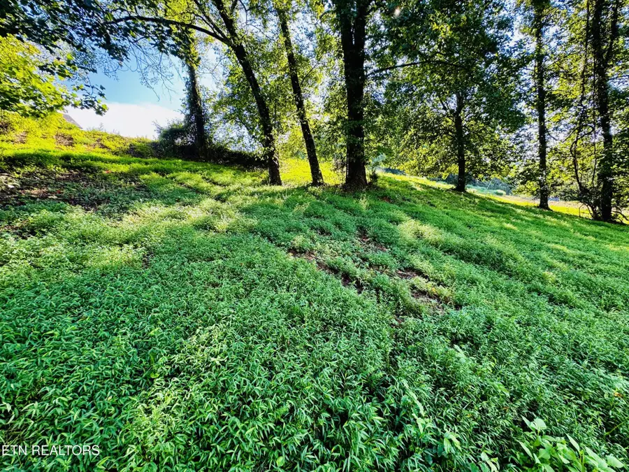 207 Clyde Ed Rd, Kodak, TN 37764 - #2