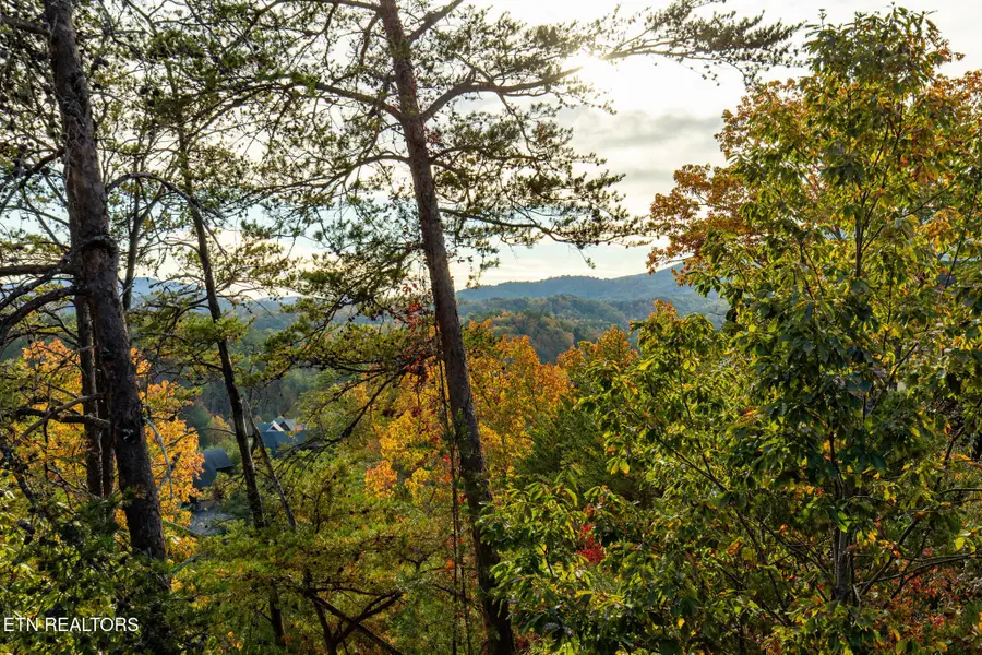 2024 Cougar Crossing Way, Sevierville, TN 37876 - #3