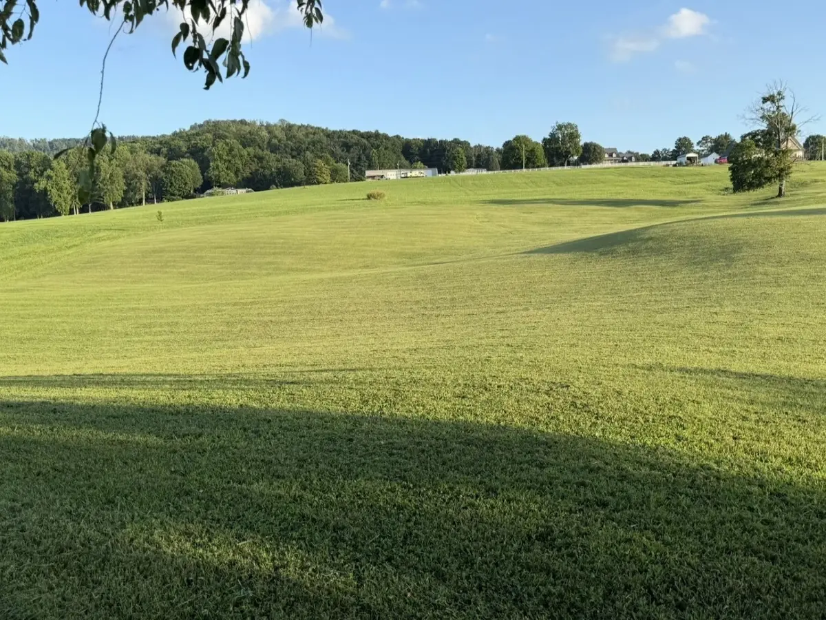 215 Harper Ln, McMinnville, TN 37110 - #1