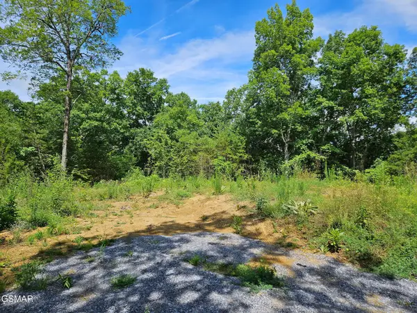 67910 Pleasure Road, Sevierville, TN 37876